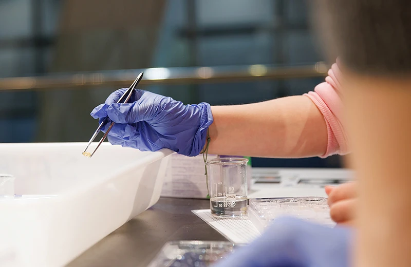 Ir a la página&nbsp;'Políticas de investigación y buenas prácticas'